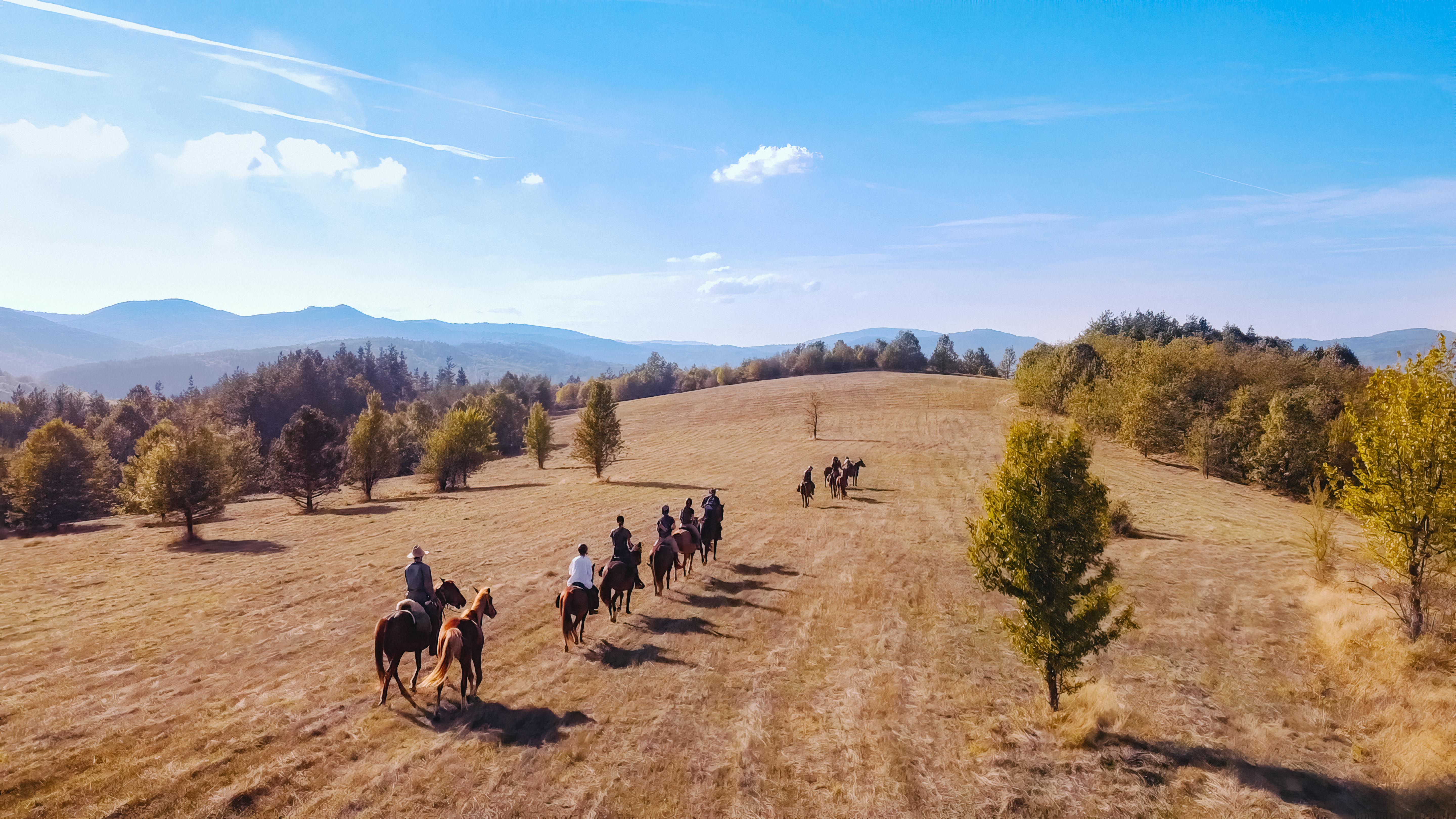 event: A Horse Journey Combined with Meditative Spaces - A journey of Yin & Yang