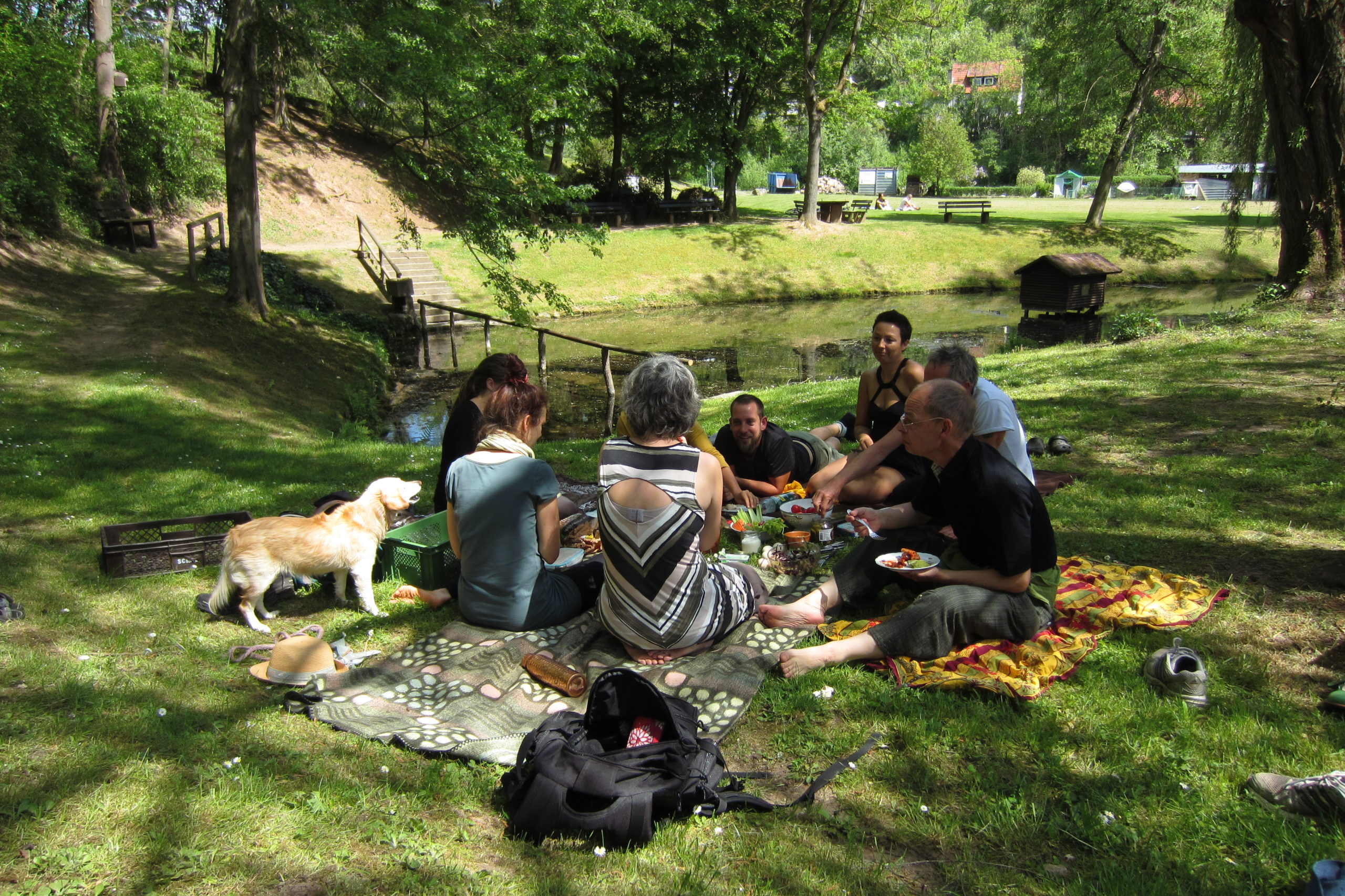 events - Kategorie: Natur - Bonn - Secrets of Shiatsu - Frühling: Holz Element / Lebermeridian, Klarheit/Kraft & Lebensfreude/  Shiatsu Massage Veranstaltungsreihe