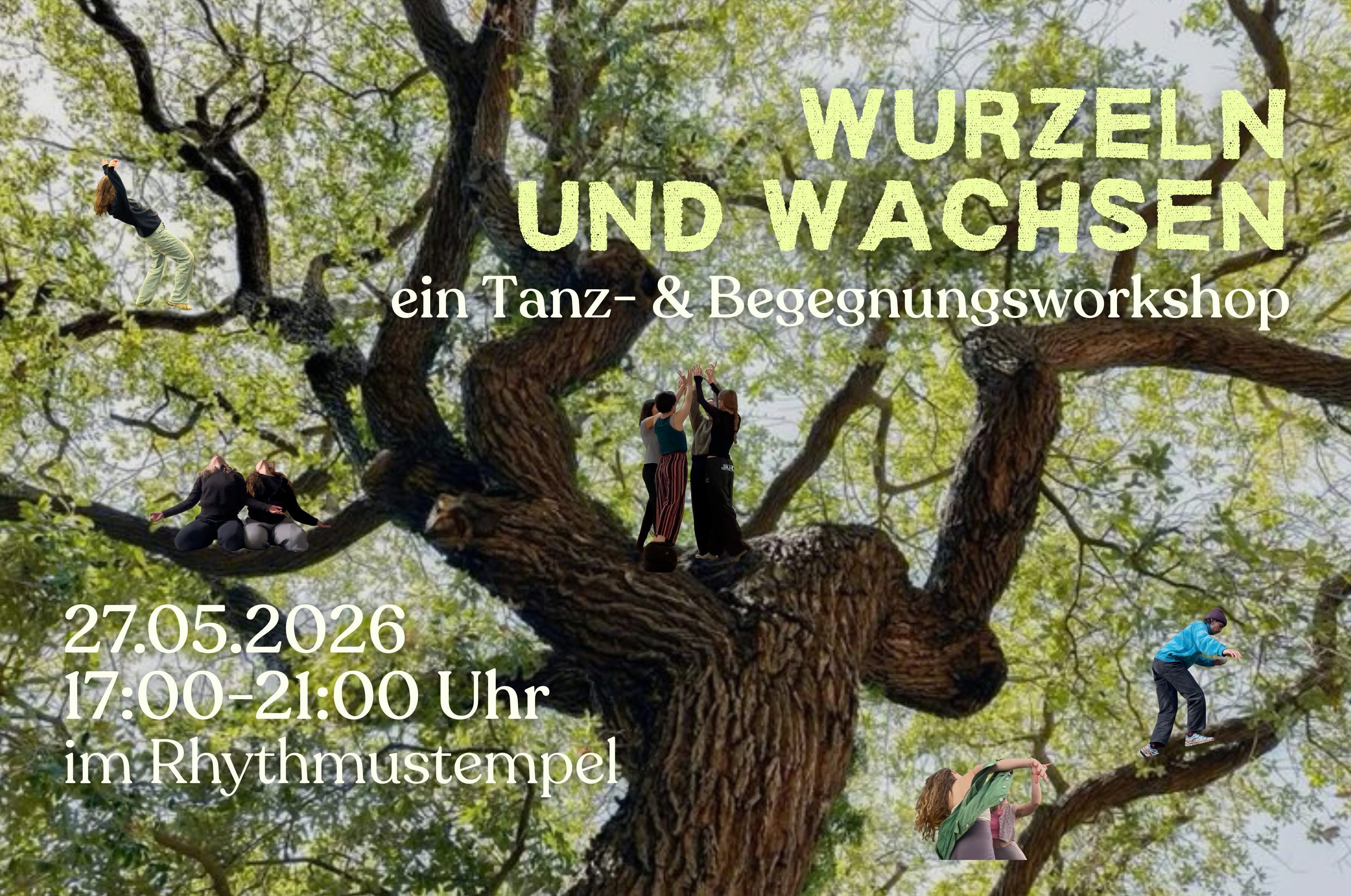 events - Köln - Wurzeln und Wachsen | Ein Tanz- und Begegnungsworkshop