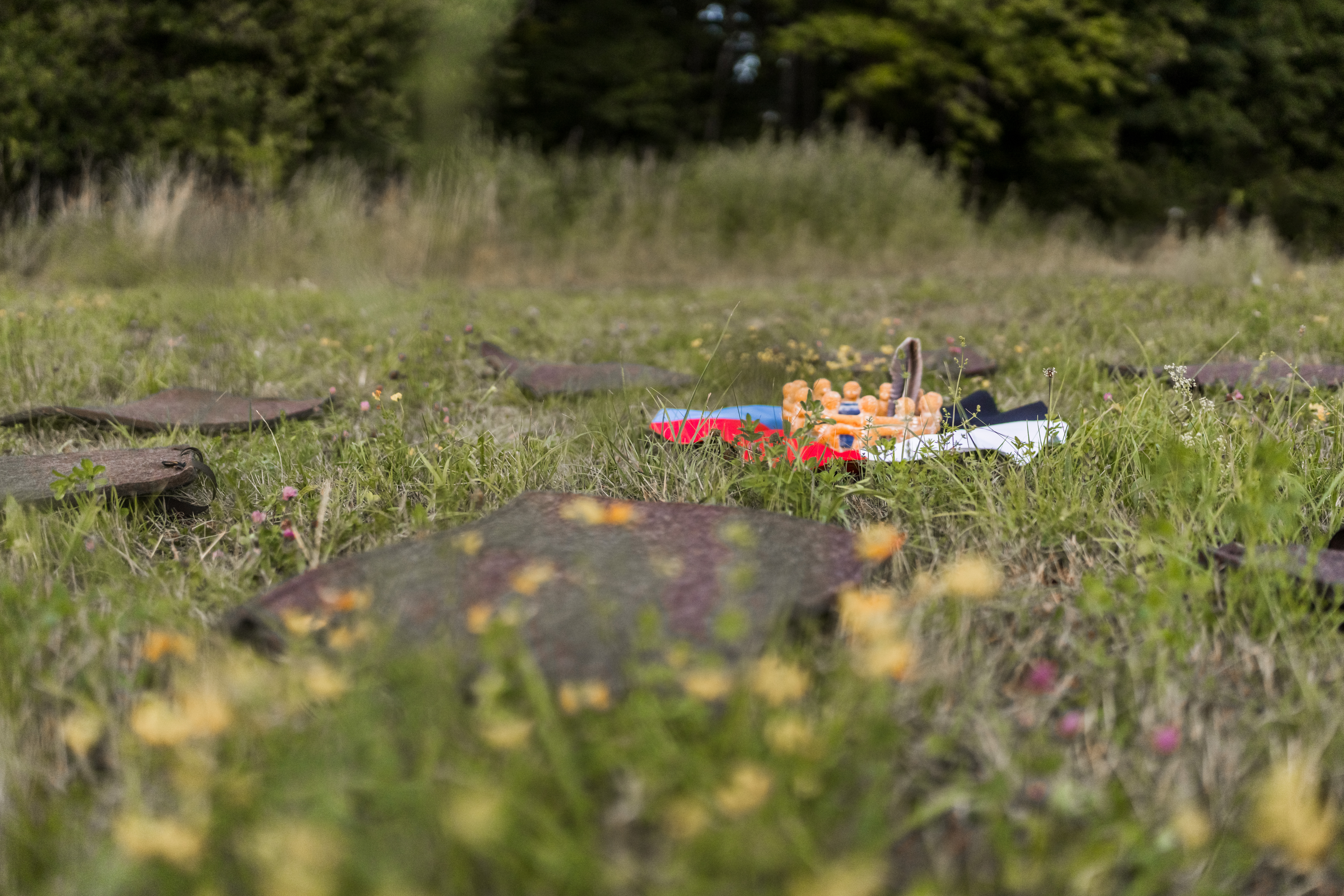 event: Ritualplatz, Kreis - Naturritual zum Maifest Beltane im Hunsrück