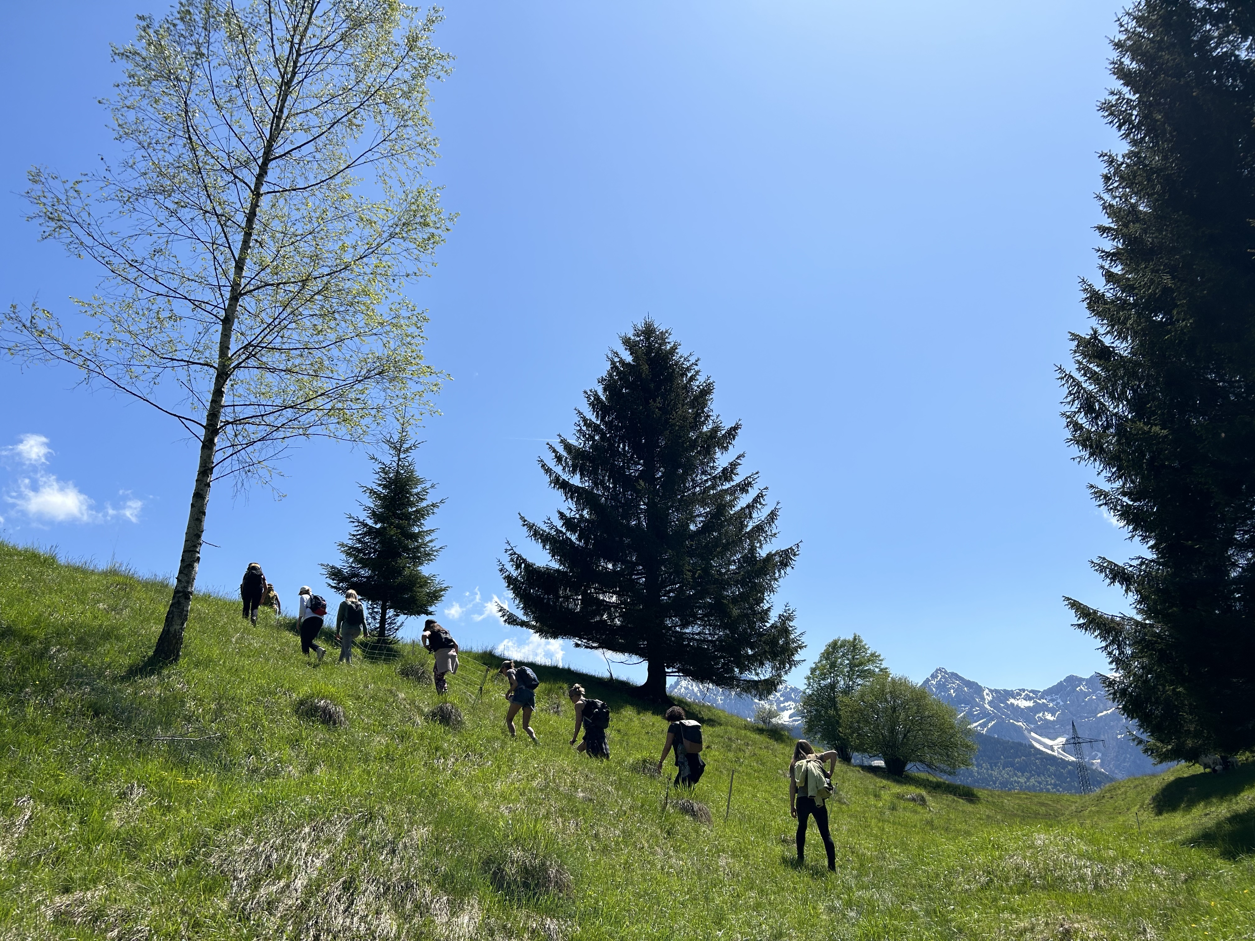 event: Wildkräuterwoche in den Voralpen am Kochelsee