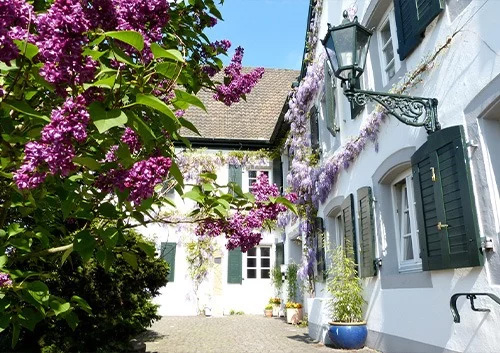 events - Bergisch Gladbach - Open Sky House