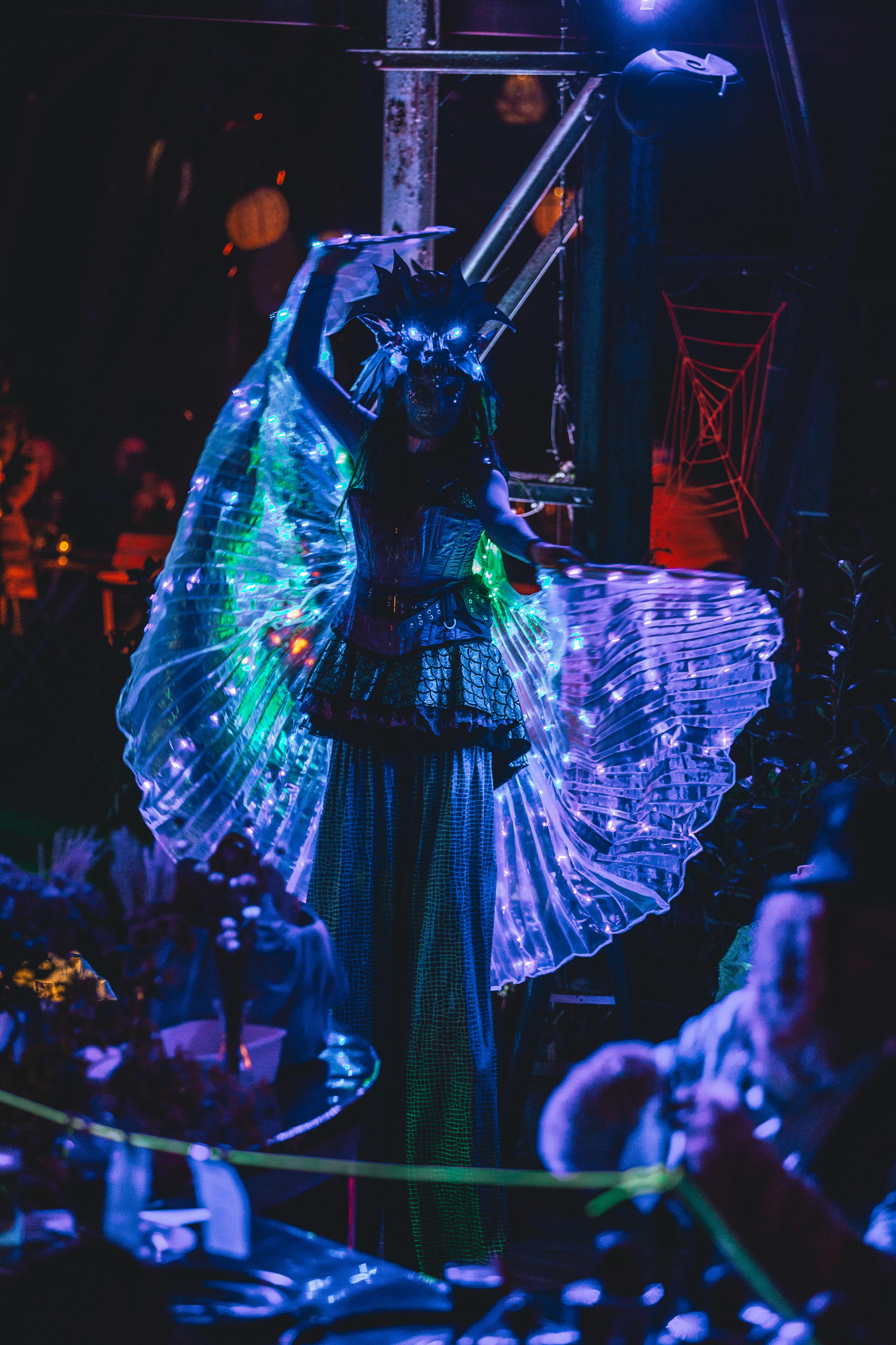 Member: *Stelzen Walkact*

*Jabberwocky* - Janice | Dragon Flow