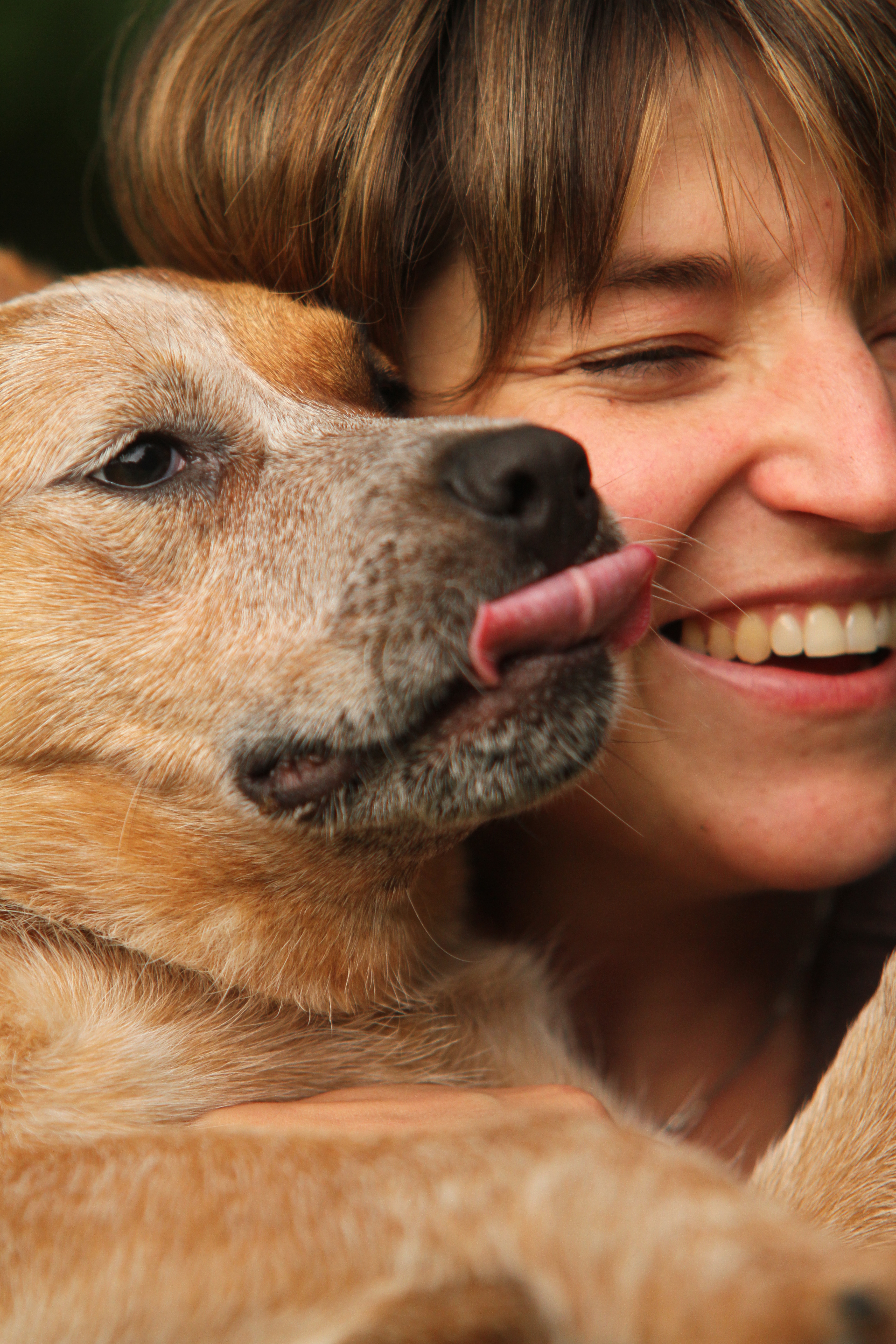 event: Stärke Deine Intuition und damit die Verbindung zu Deinem Tier