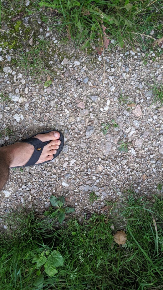 events - Tobias Friedwart Emmert MFL Morphisches Feldlesen Lesungen im morphischen Feld Coaching 