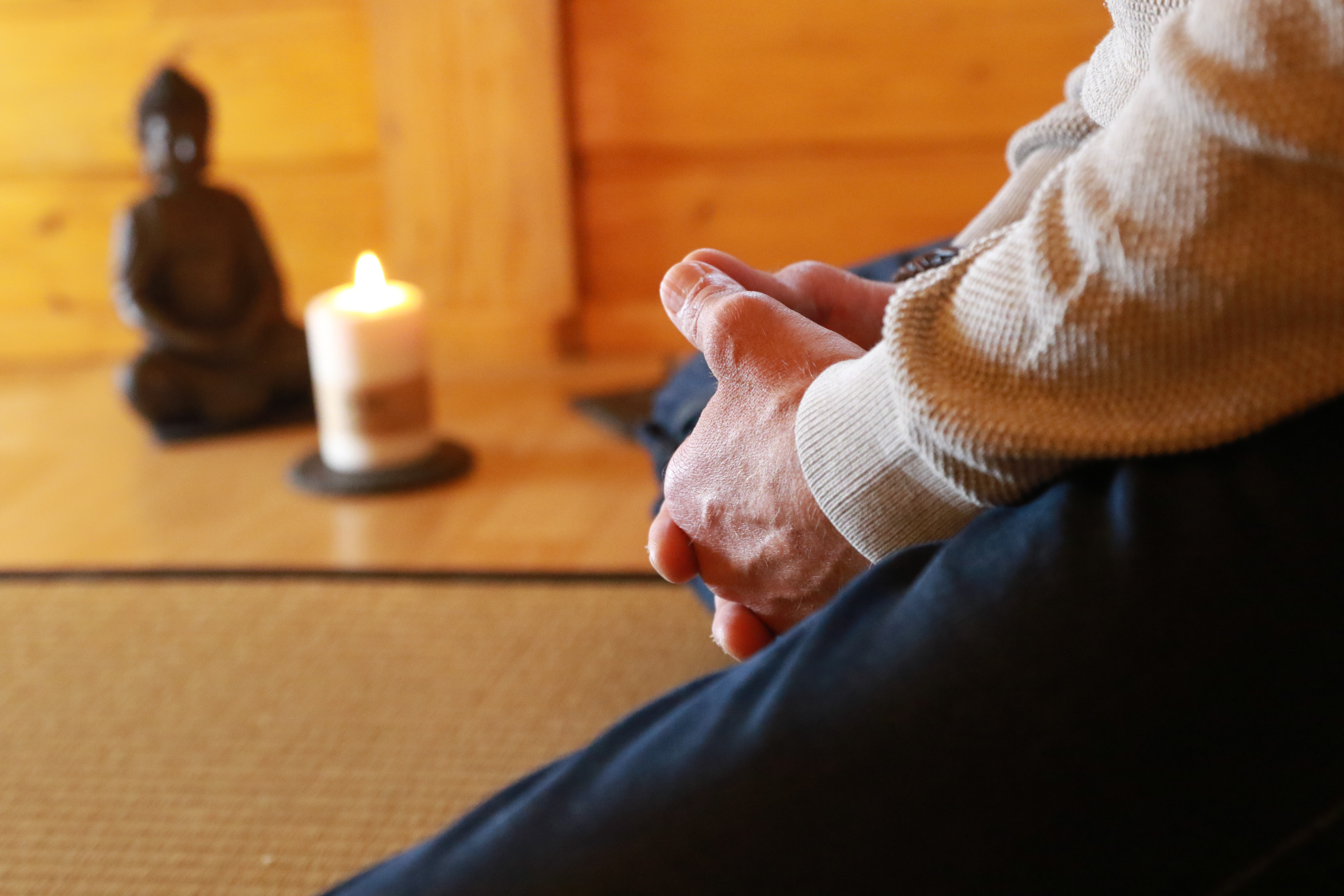 1:1: MannSein - Coaching für Männer im Wald.