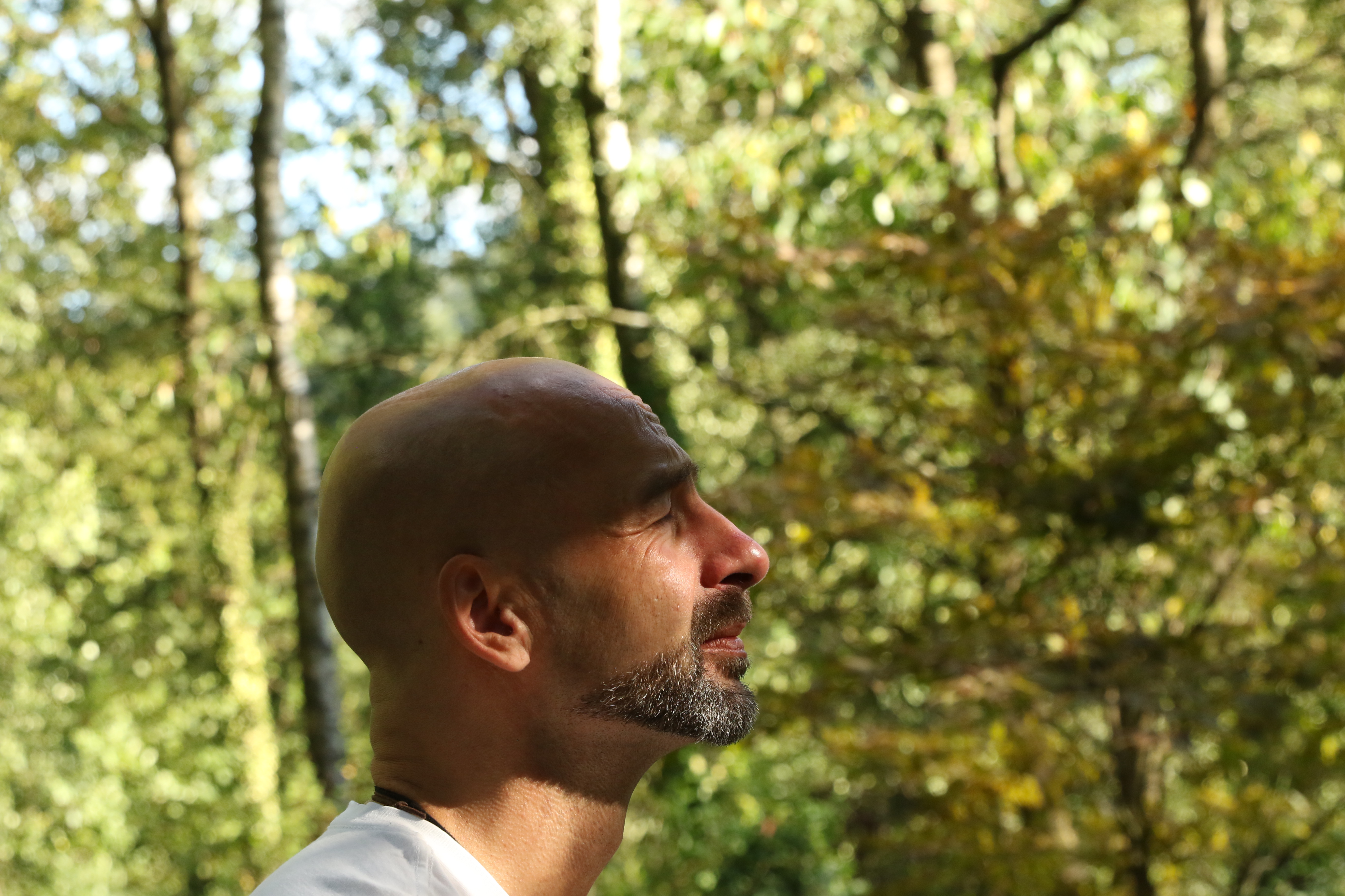 events - Kategorien: Selbsterfahrung - Rheinland-Pfalz - Oliver Dreber | Führung, Haltung & männliche Identität